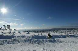Winterlandschaft im Harz