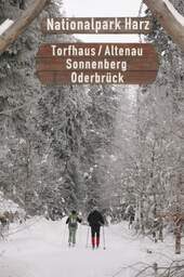 Nationalpark Harz