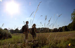 Wandern