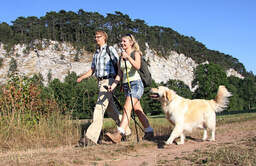 Nodirc Walking
