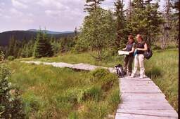 Wandern im Harz