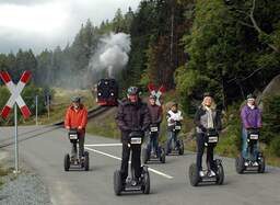 Segwaytouren im Nationalpark Harz
