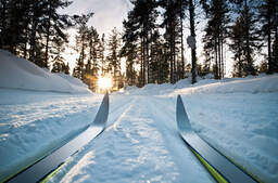 Den Harz auf Ski entdecken