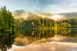 Wandern im einzigartigen Nationalpark Harz