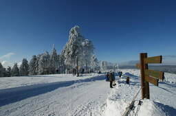 Winterwandern in Bad Sachsa
